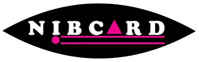 NIBCARD Games Cafe (Abuja)